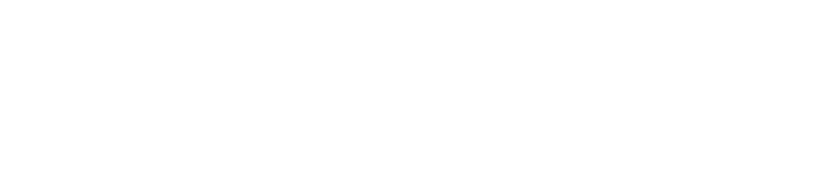 ARC Partners Solutions